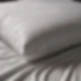 Luxurious Cotton Sheets