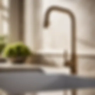 Luxurious Kitchen Faucet from Supply New England Gallery