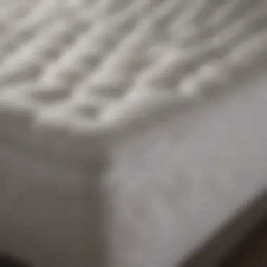 Luxurious Mattress Pad for King Bed Transformation Luxurious mattress pad for king bed transformation