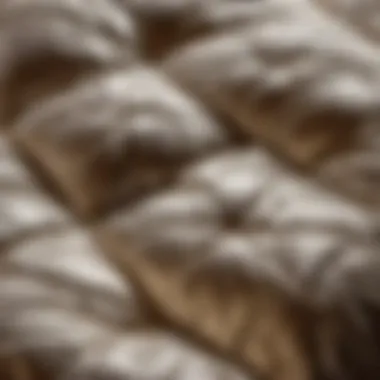 Luxurious Quilt Texture Detail Close-up of luxurious quilt texture
