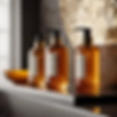 Sleek Sophistication Luxurious soap and lotion set offering a touch of sophistication