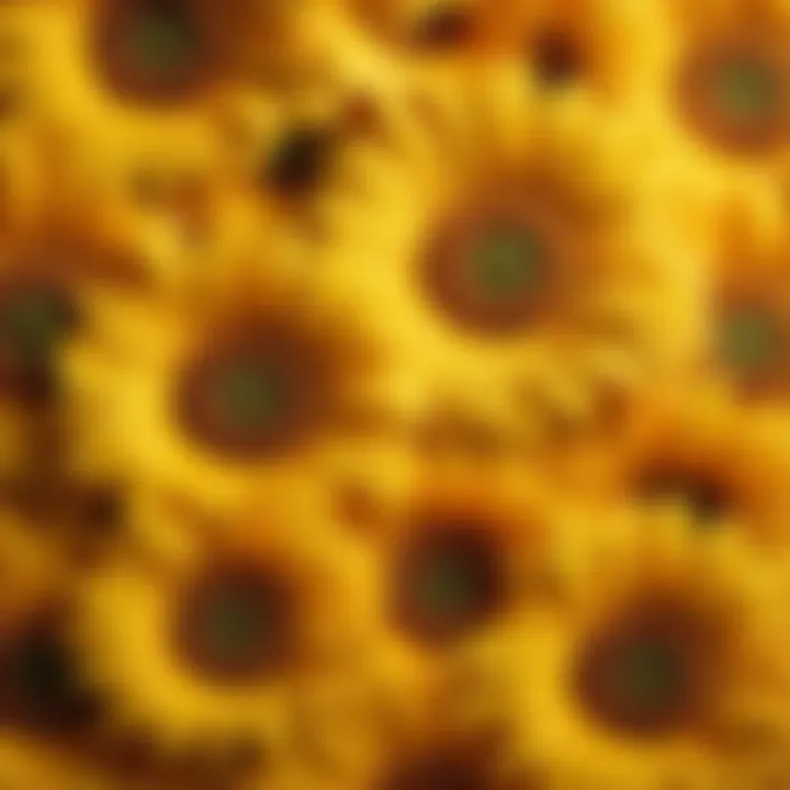 Stylish sunflower design on a high-quality bath towel