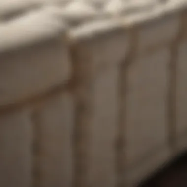 Exquisite Upholstery Craftsmanship Luxurious Upholstery Detail of Jamison Mattress