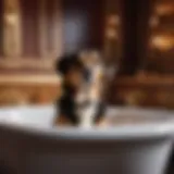 Luxurious walk-in bath for dogs