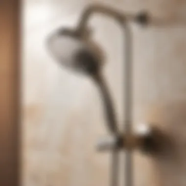 Luxury hand shower design for bathtub