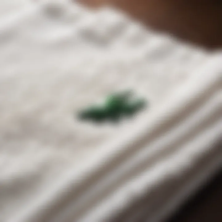 Exquisite Logo Embroidery Luxurious Embroidered Logo Detail on Lacoste Bath Towel