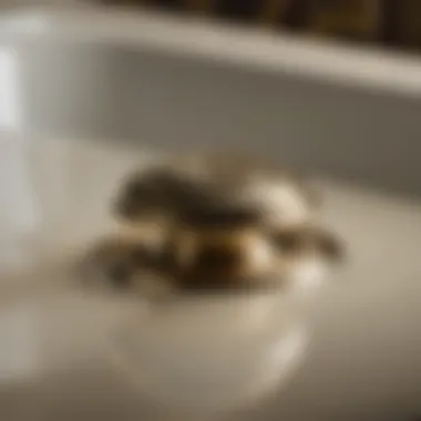 Maintenance tips for Kohler bath drain stopper