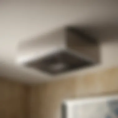 Maintenance tools for efficiently maintaining flush mount bathroom fan
