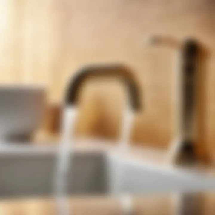 Maintenance of water filtration faucet
