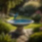 Majestic Ceramic Bird Bath Bowl in Tranquil Garden Setting