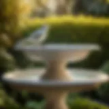 Graceful bird bath top made of marble in a lush garden setting