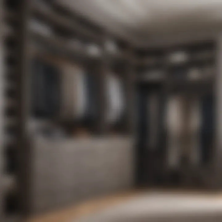 Custom Closet Organization System