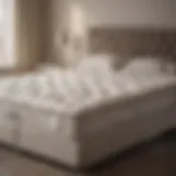 Understanding the Return Policy Overview of Mattress by Appointment's return policy