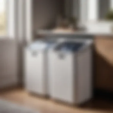 Innovative Dual Compartment Hamper for Laundry Sorting Dual Compartment Hamper for Sorting Laundry