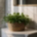 Chic and Greenery-Filled Corner Basket Elegant bathroom corner basket with greenery