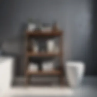 Minimalist Bathroom Organization Idea Minimalist Bathroom Organization Idea