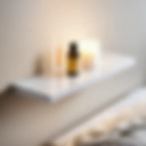 Elegant Floating Shelf in Bedroom