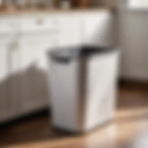 Eco-Friendly Waste Basket Option