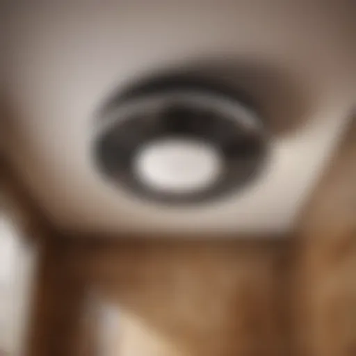 Modern bathroom with automated fan system