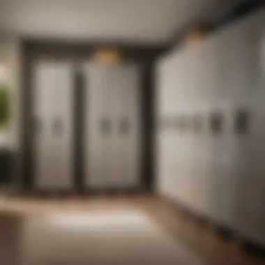 Sleek Home Locker Integration Sleek locker unit blending seamlessly with home decor