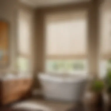 Privacy-enhancing window treatments for a 2x2 bathroom window