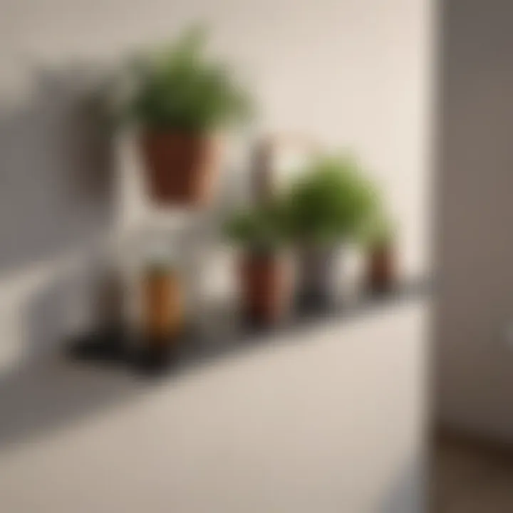 Innovative bathroom wall shelf with plant decor