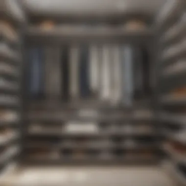 Sleek Closet Arrangement Minimalist closet with neatly arranged shoes and accessories