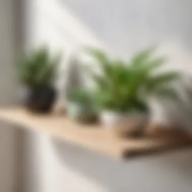 Elegant Thin Shelf with Green Plants