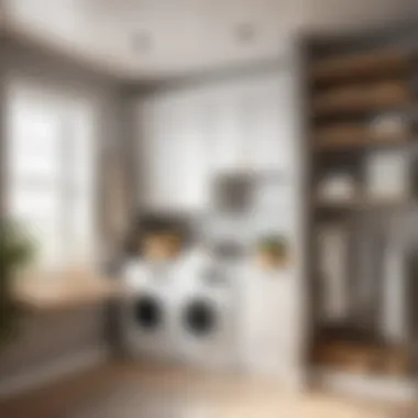 Aesthetic Appeal in Storage Laundry room hanging shelf enhancing aesthetics
