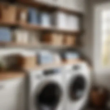 Effortless Laundry Supply Storage Solution Organized Laundry Supplies on Over-Washer Shelf
