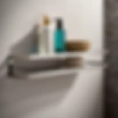 Sleek and Modern Stainless Steel Shelf for Contemporary Bathrooms Sleek and Modern Stainless Steel Bathroom Wall Shelf