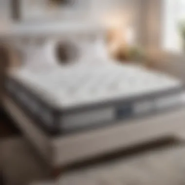 Cloud-Like Comfort Memory Foam Mattress