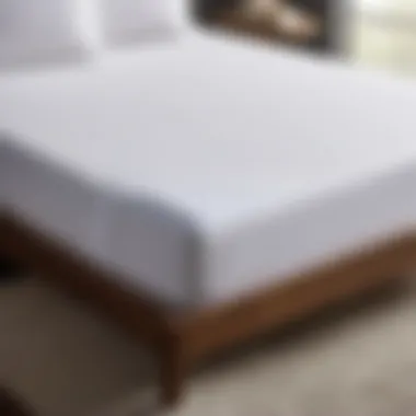 Sleek Microfiber Deep Pocket Fitted Sheet for 13-Inch Mattress Microfiber Deep Pocket Fitted Sheet