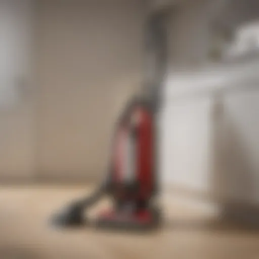 Showcasing Miele Vacuum Cleaners Miele Vacuum Cleaner on display in a retail setting