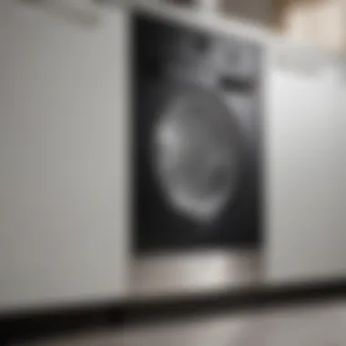 Detailing Miele's Innovative Features Close-up of Miele vacuum features highlighting quality and design