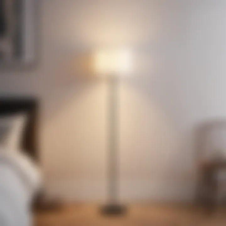 Minimalist bedroom with minimalist floor lamp