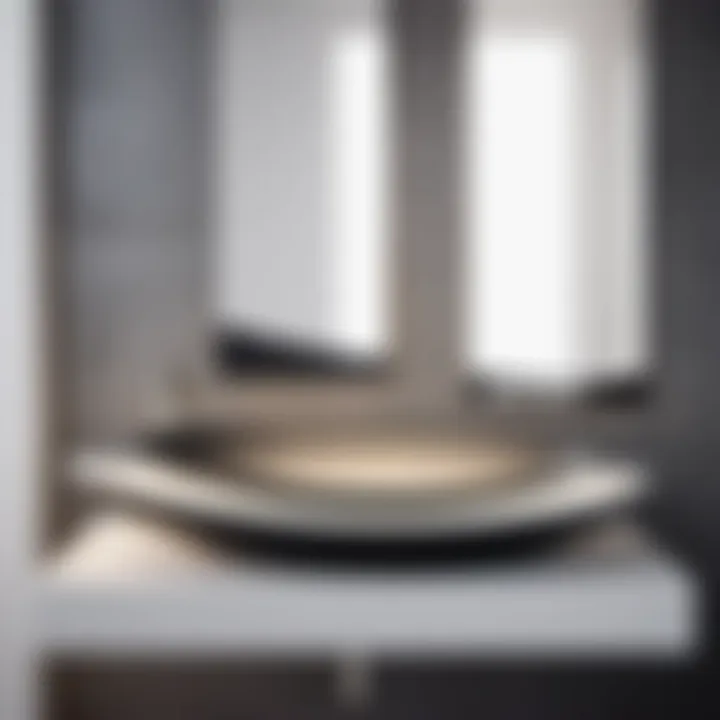 Minimalist Black and White Ramp Style Sink