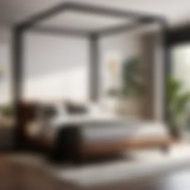 Sleek and Minimalist Canopy Bed Design