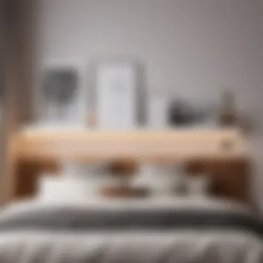 Minimalist Bedroom with Functional Shelf Organizer