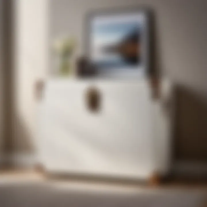 Contemporary Minimalist Bedroom Storage Trunk Chest Minimalist and sleek bedroom storage trunk chest in a contemporary setting