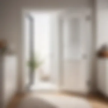 Minimalist white cat door blending seamlessly with laundry room decor