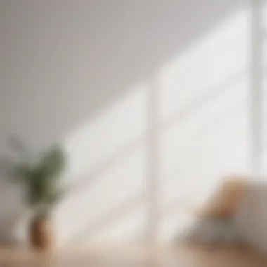 Embrace Minimalism with White Paint Minimalist White Wall Paint