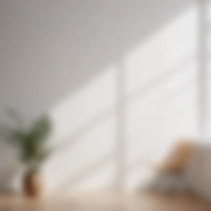 Embrace Minimalism with White Paint Minimalist White Wall Paint