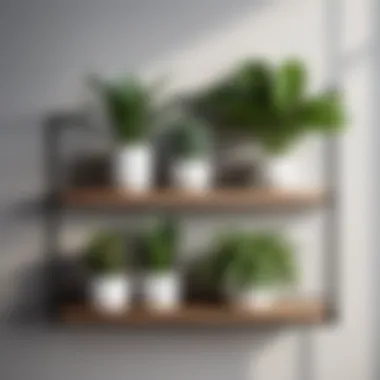 Minimalistic Plant Shelf Arrangement