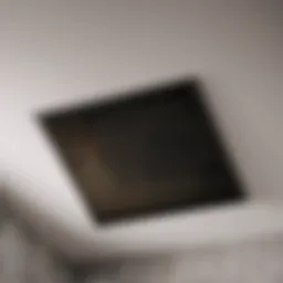 Modern bathroom vent flapper design