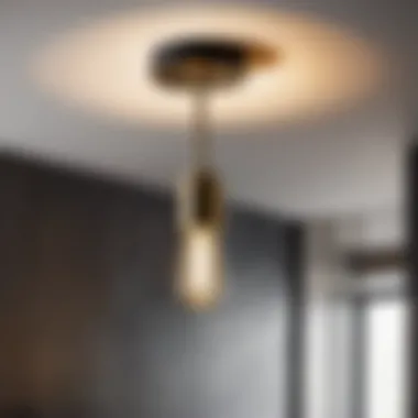 Contemporary Ceiling Lighting Element Modern black and brass ceiling light fixture in bathroom