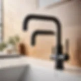 Modern Black Matte Faucet for Laundry Room Sink