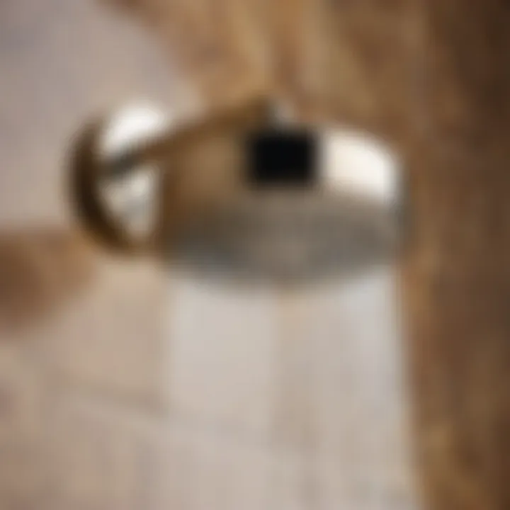 Modern Elegance: Polished Nickel Shower Head