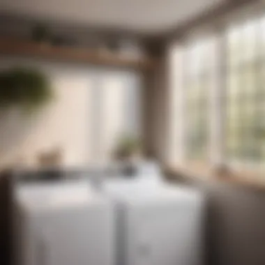 Modern Laundry Room with Stylish Faucet