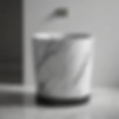 Modern marble bathroom wastebasket in black and white